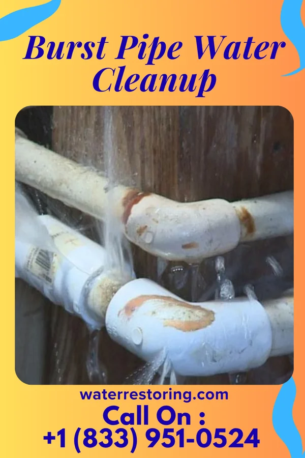 Burst Pipe Water Cleanup in Dravosburg, PA