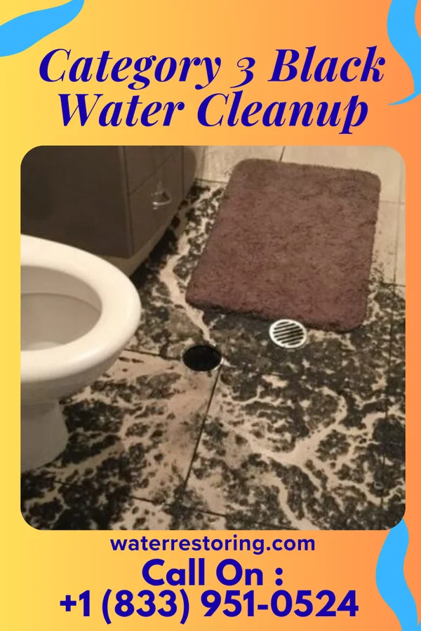 Category 3 Black Water Cleanup in Dravosburg, PA
