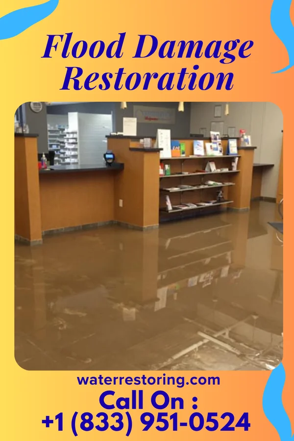 Flood Damage Restoration in Dravosburg, PA