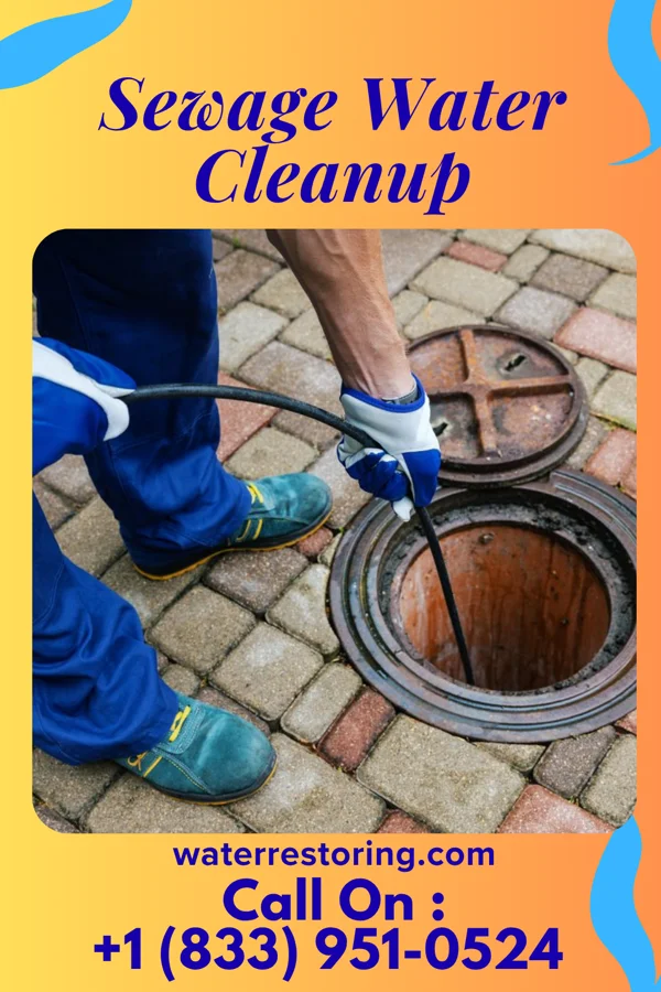 Sewage Water Cleanup in Dravosburg, PA