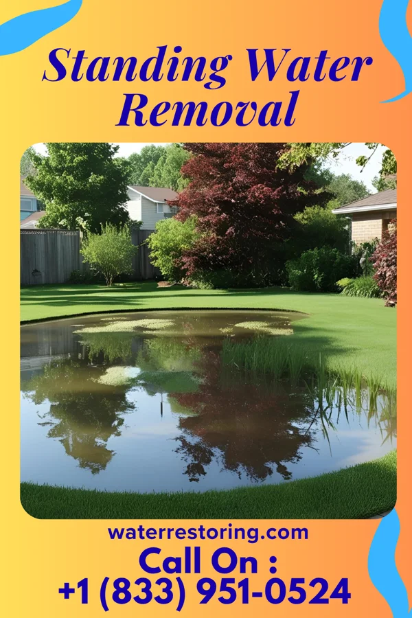 Standing Water Removal in Dravosburg, PA